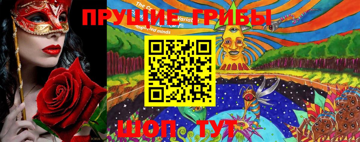 Советск  Галлюциногенные грибы GOLDEN TEACHER  Вход с VPN 
