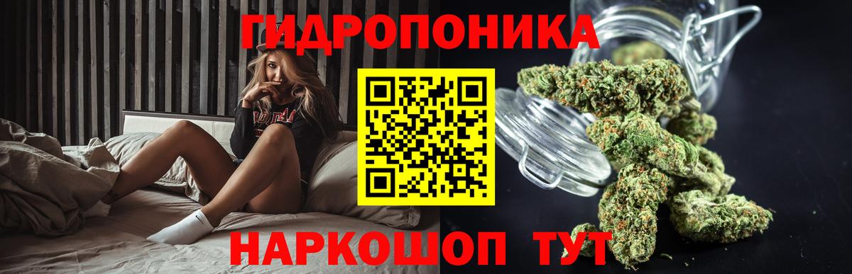 Шишки марихуана Bruce Banner Советск